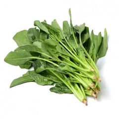 Pankreas İyi Gelen Bitkiler Nelerdir?