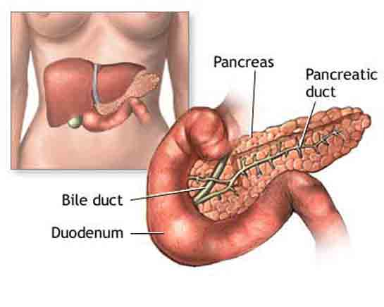 Kronik Pankreas İltihabı
