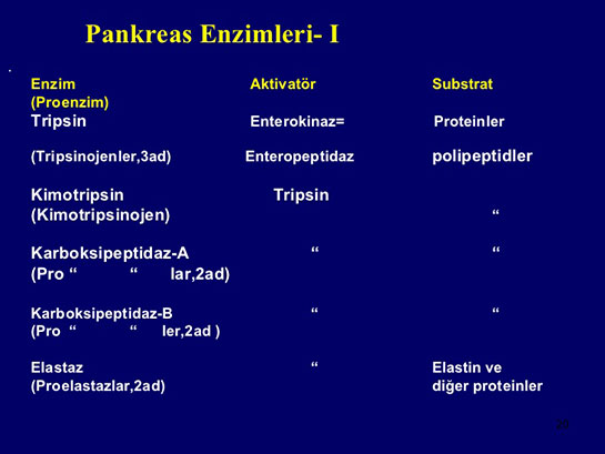 Pankreas Enzimleri